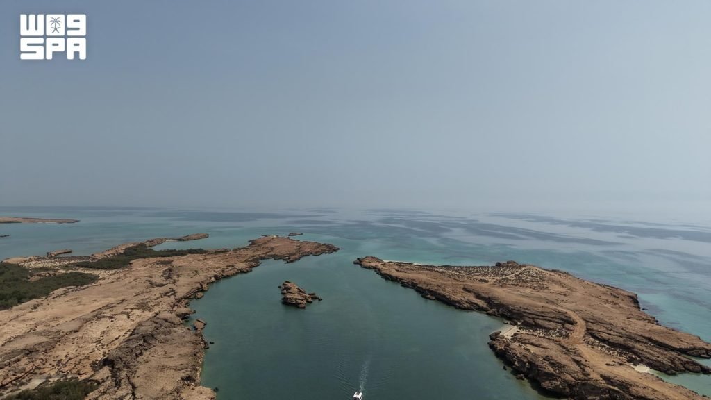 غابات القندل في فرسان.. رحلةٌ بحرية بين الخضرة والماء تستقطب زوار العيد