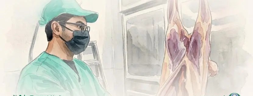 أمانة منطقة الرياض تضبط أعمال الذبح المؤقت استعدادًا لعيد الأضحى المبارك