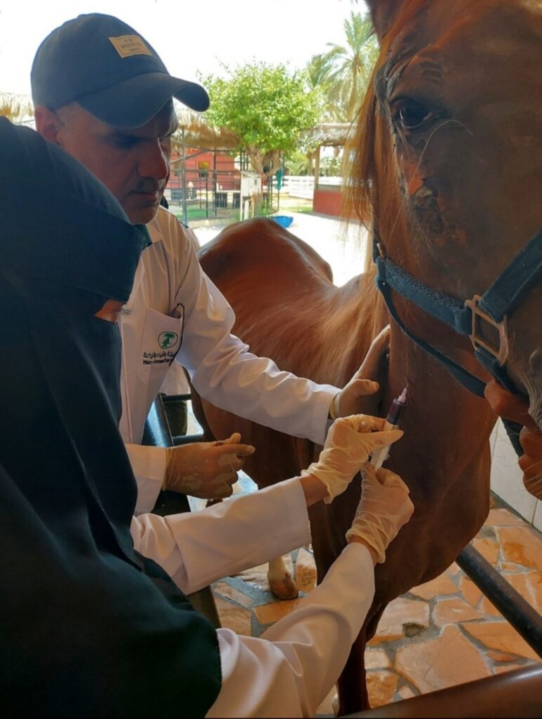تنظيمات جديدة تمنع تسجيل اللقاحات البيطرية دون دراسات حيوية