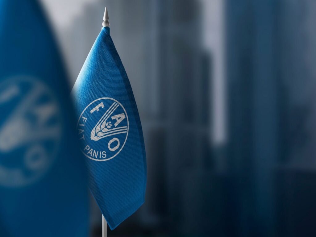 الجوع يتراجع عالميا للمرة الثالثة.. وأفريقيا تواجه الخطر الأكبر