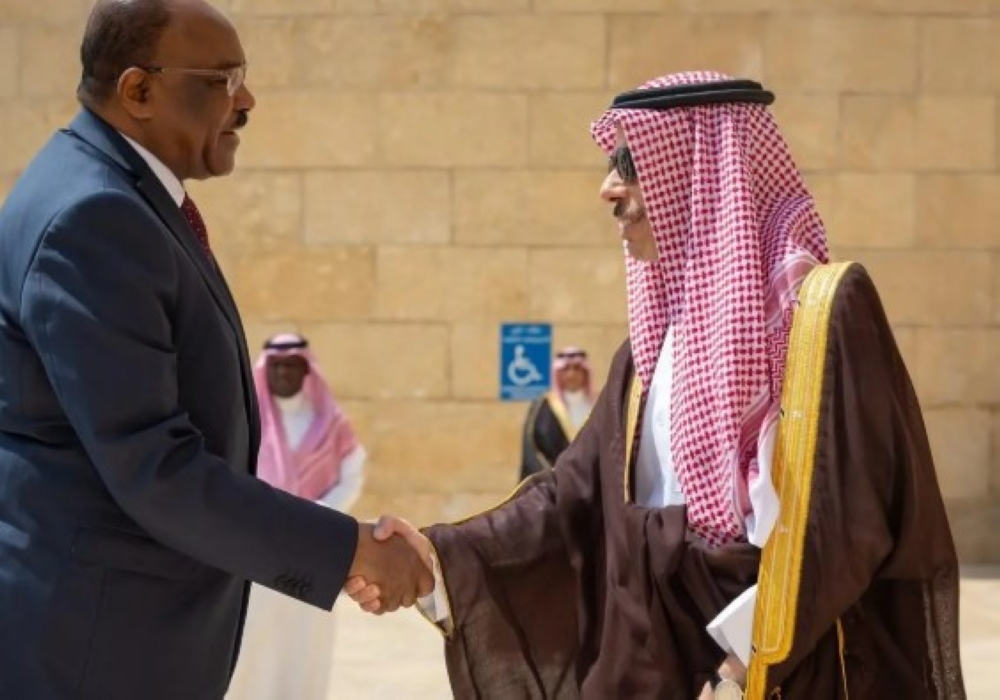 وزير الخارجية ونظيره السوداني يرأسان اجتماع لجنة المتابعة ويناقشان المستجدات