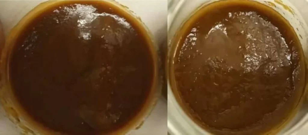 تطوير كاتشب بالطحالب.. طعم مألوف وبروتين مضاعف