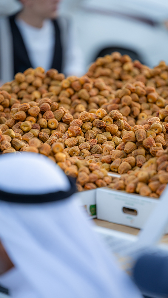 السكري .. من “نبتة الجمعة” إلى اقتصاد المليارات